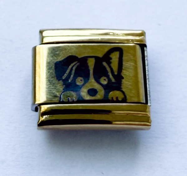 Modul Hund gold