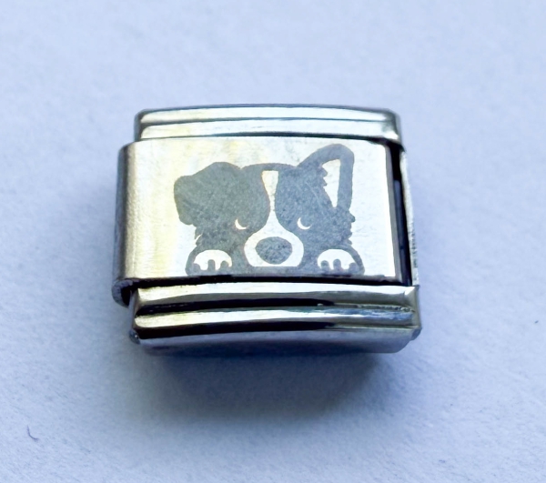 Modul Hund silber