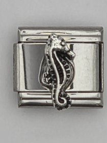 Modul Seepferdchen silber