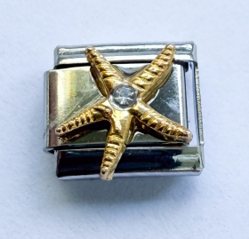 Modul Seestern silber