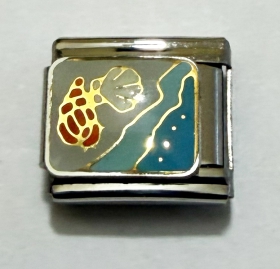 Modul Strandmuscheln